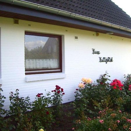 Hooge In The Haus Halligblick Dagebuell Ngoại thất bức ảnh